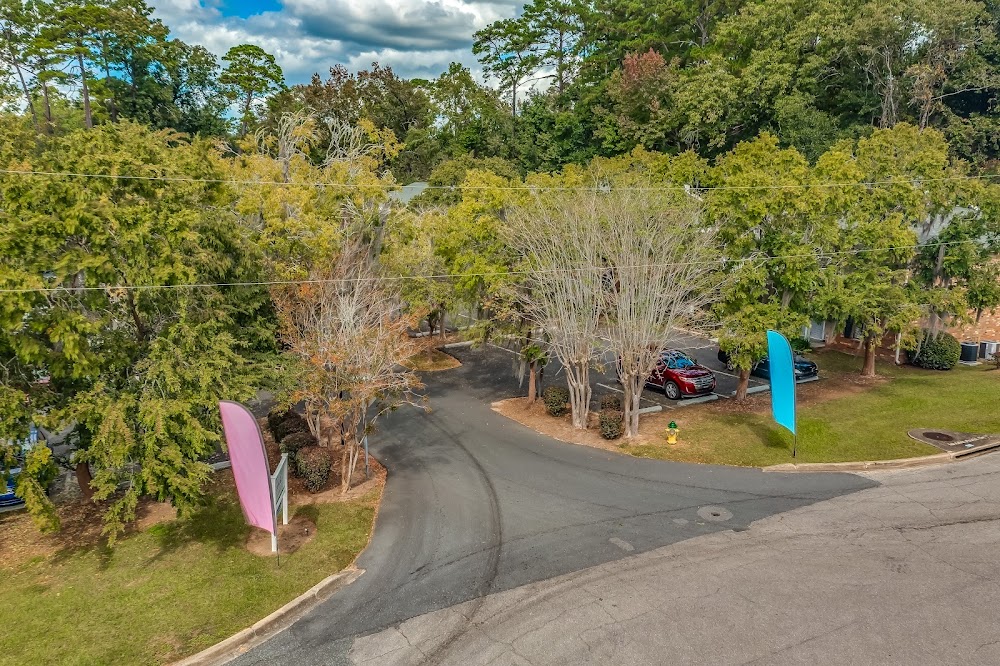 Imagen de la galería 4