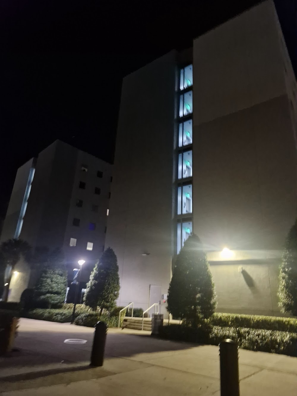 Imagen de la galería 6