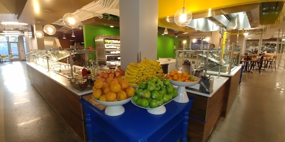 Imagen de la galería 1