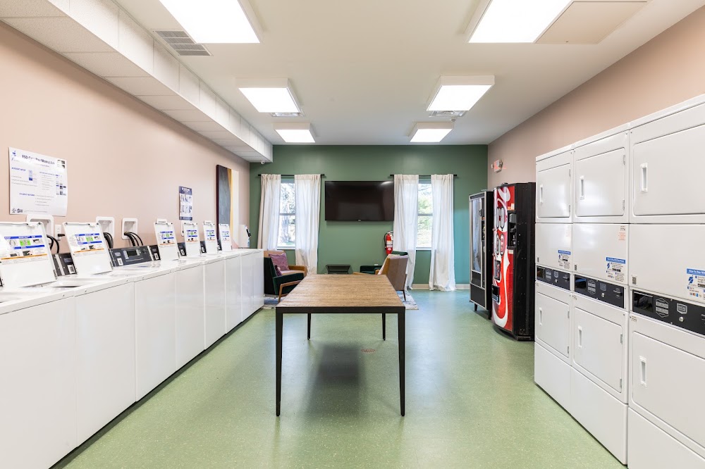Gallery Image 7