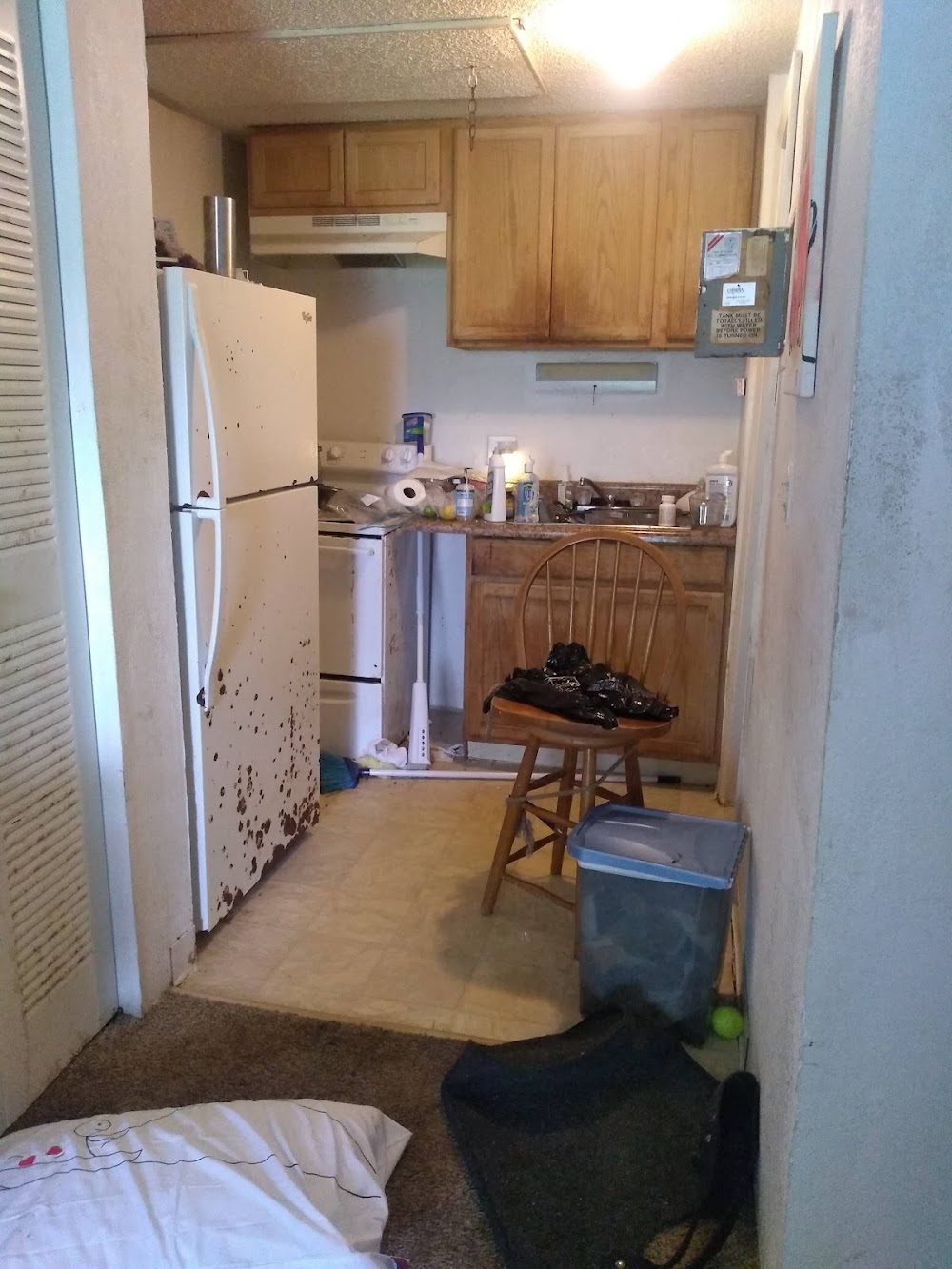 Gallery Image 10