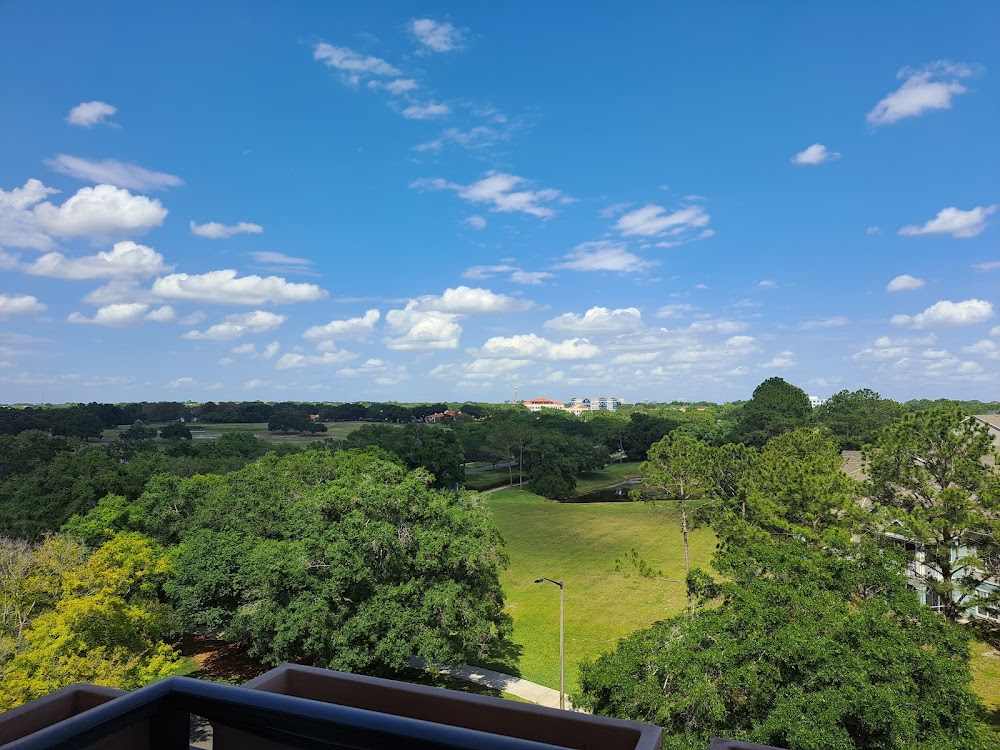 Imagen de la galería 2