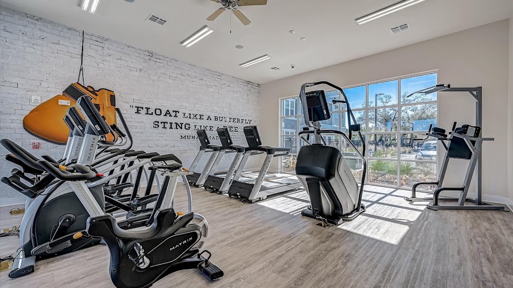 Imagen de la galerĂa 6
