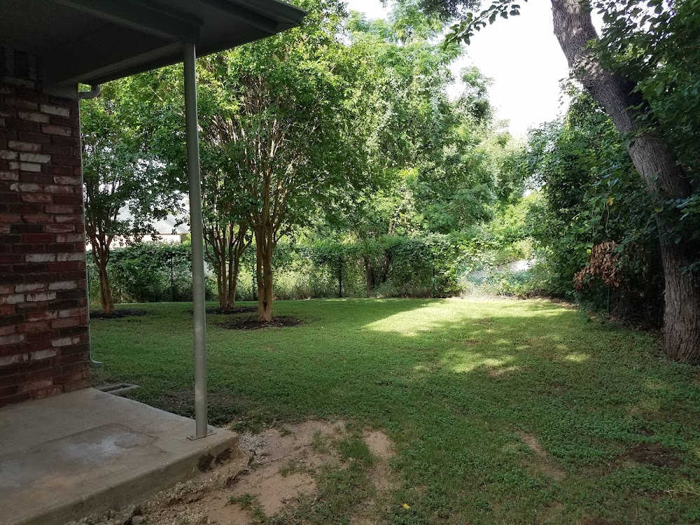 Imagen de la galería 4