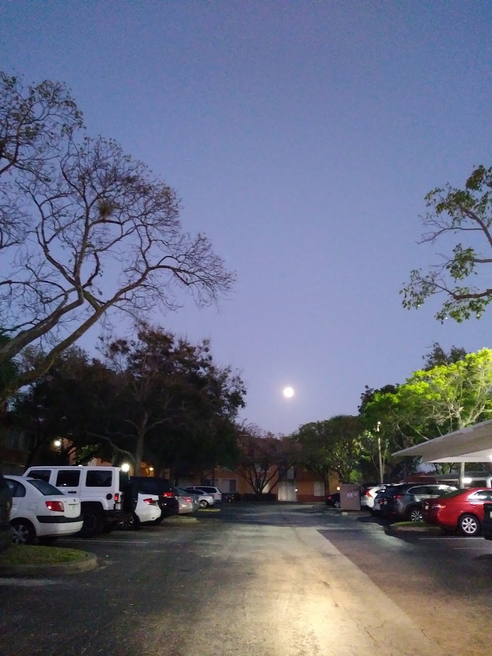 Imagen de la galería 6