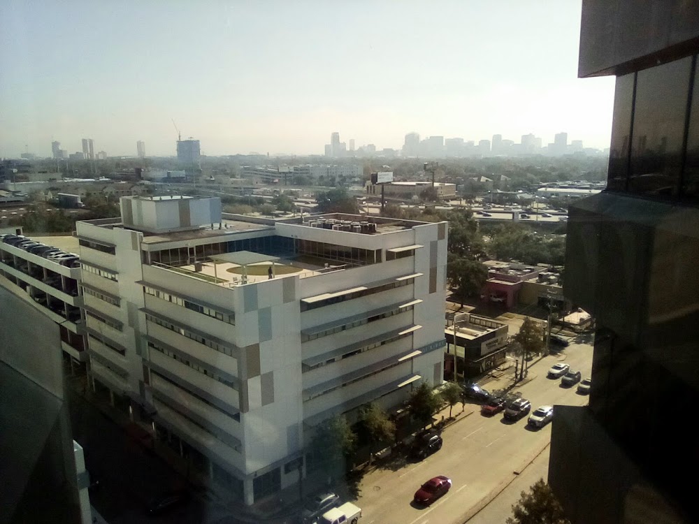 Imagen de la galería 5
