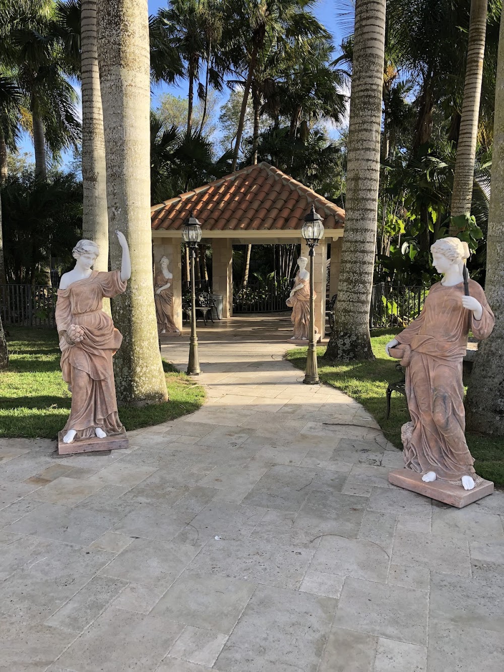 Imagen de la galería 7