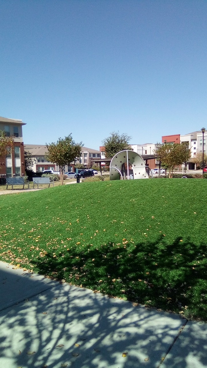 Imagen de la galería 8