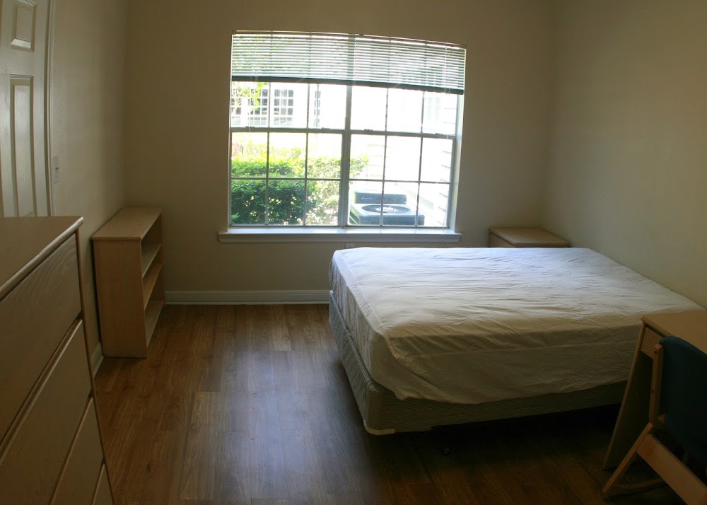 Imagen de la galería 2