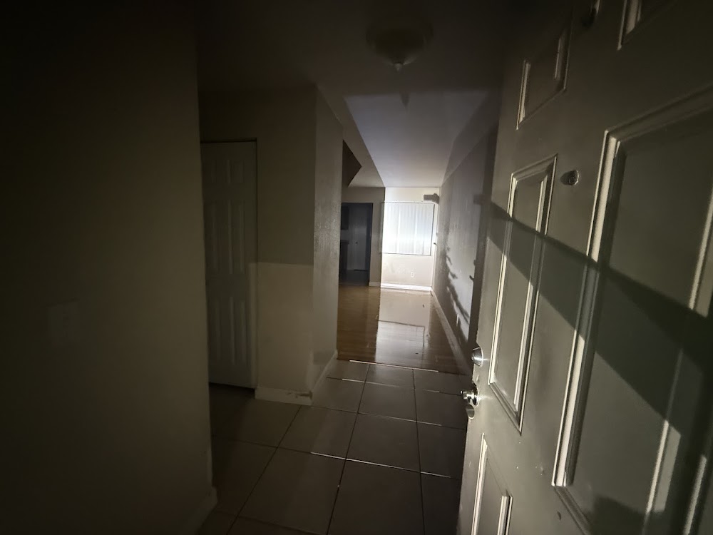 Imagen de la galería 3