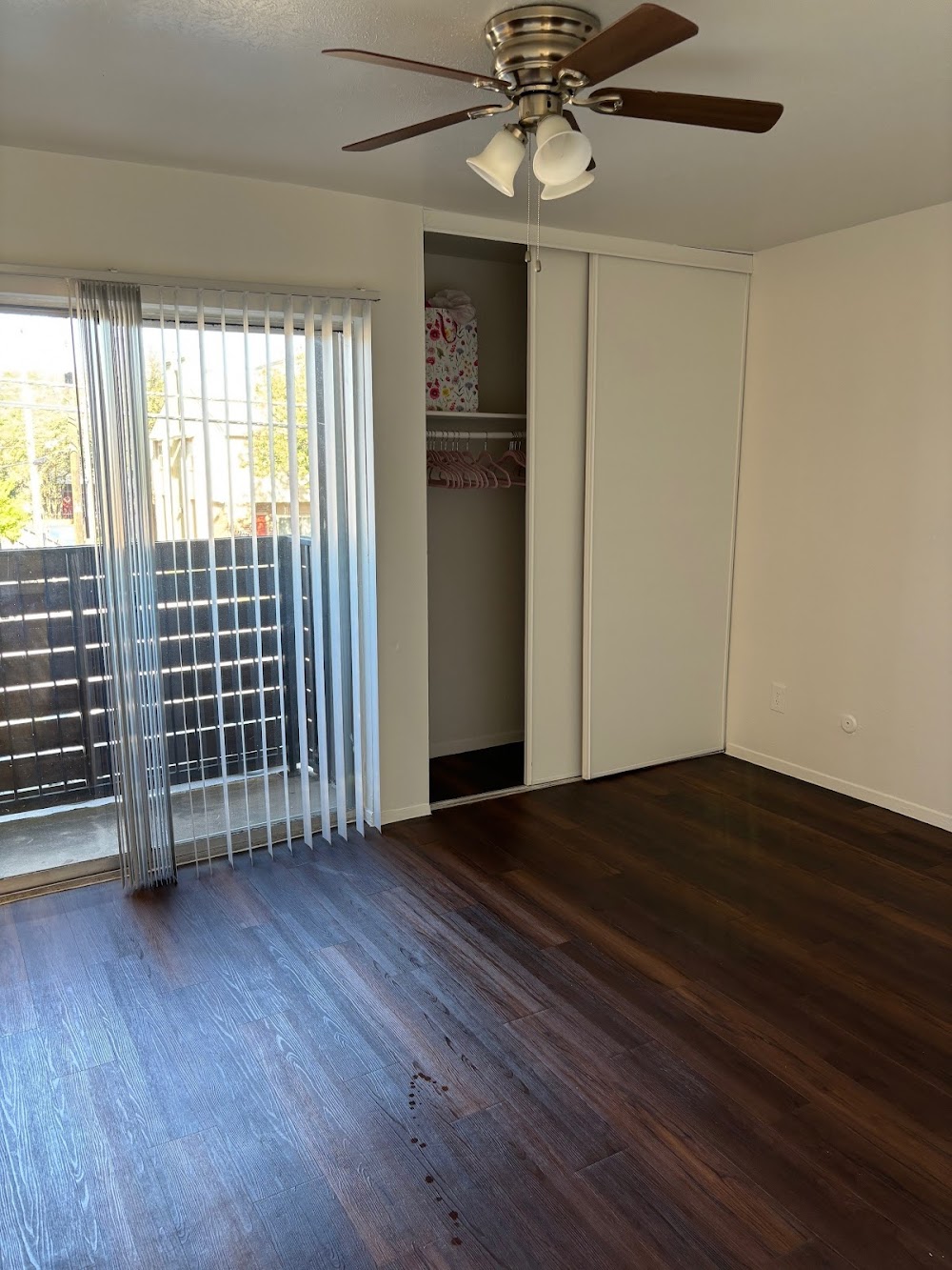 Imagen de la galería 2