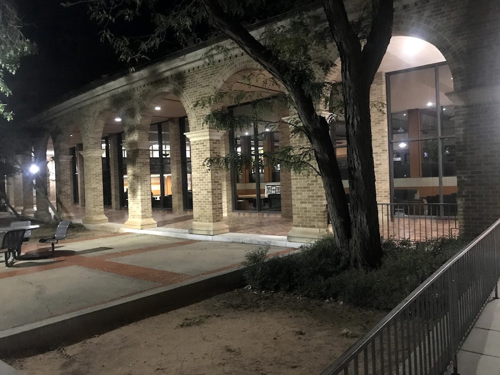 Imagen de la galería 12