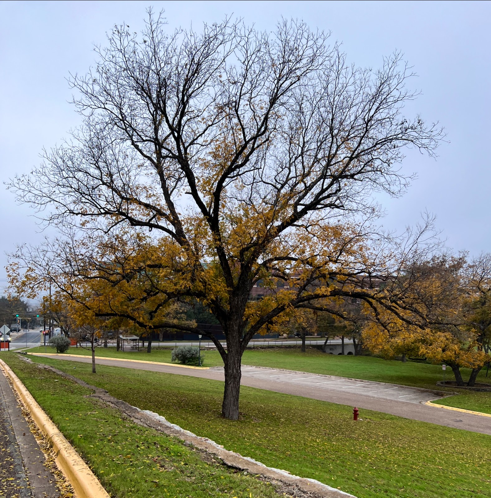 Imagen de la galería 3