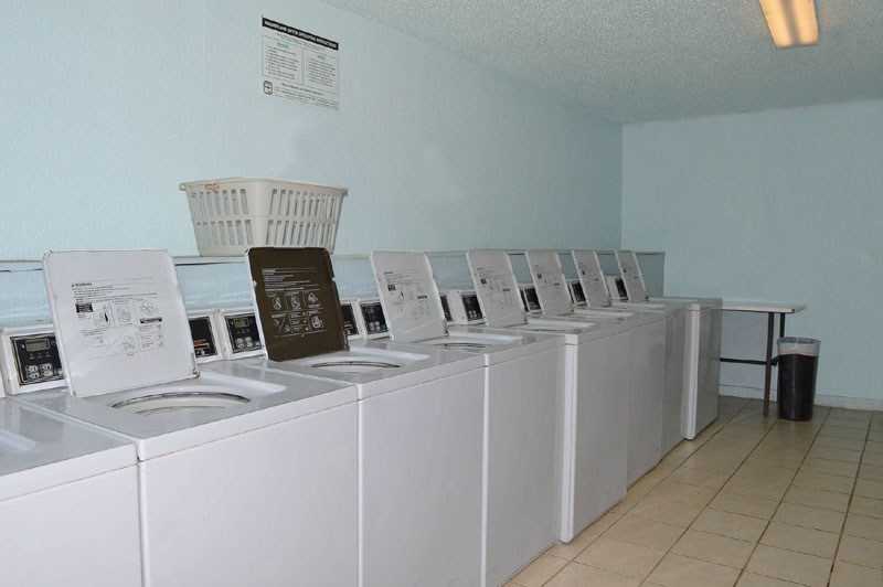 Imagen de la galería 10