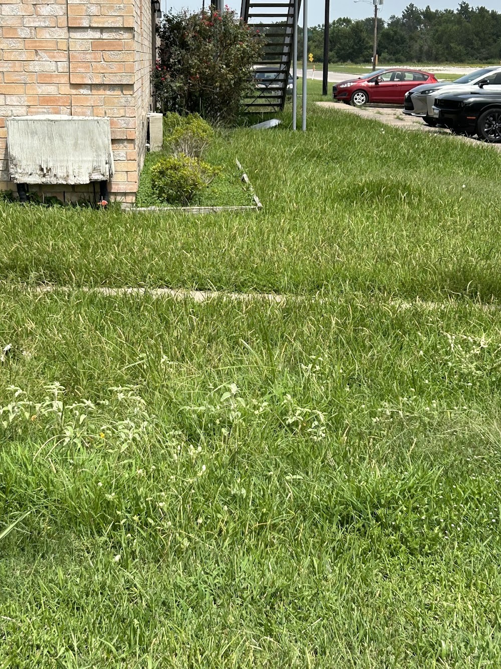 Imagen de la galerĂa 6