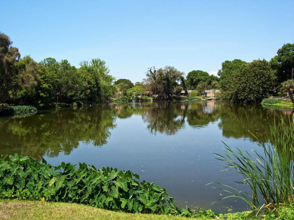 Imagen de la galerĂa 3