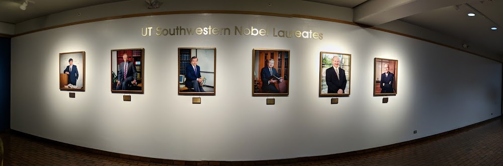 Imagen de la galería 1