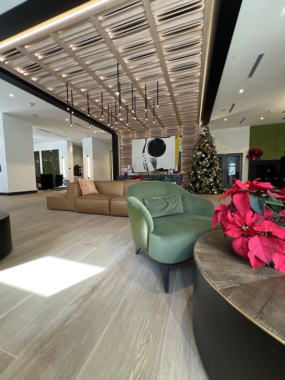 Imagen de la galería 2