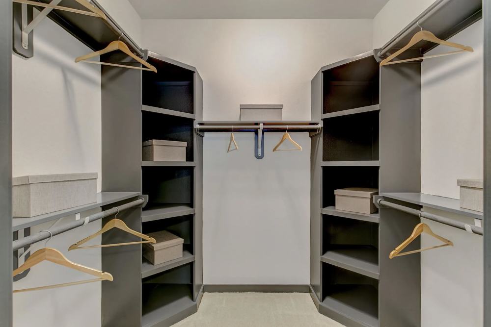 Imagen de la galería 8