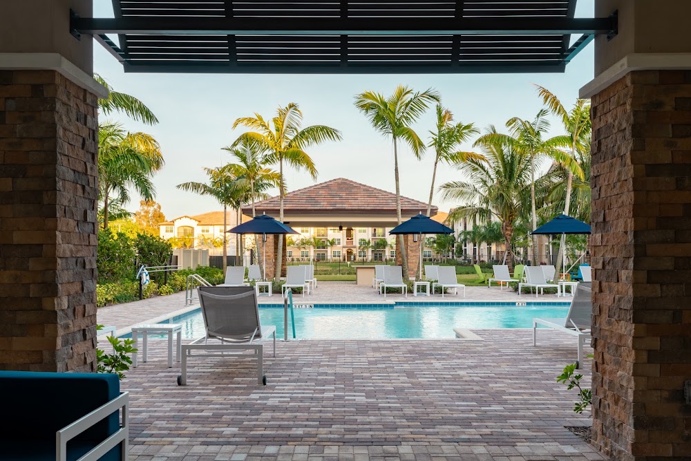 Imagen de la galería 4