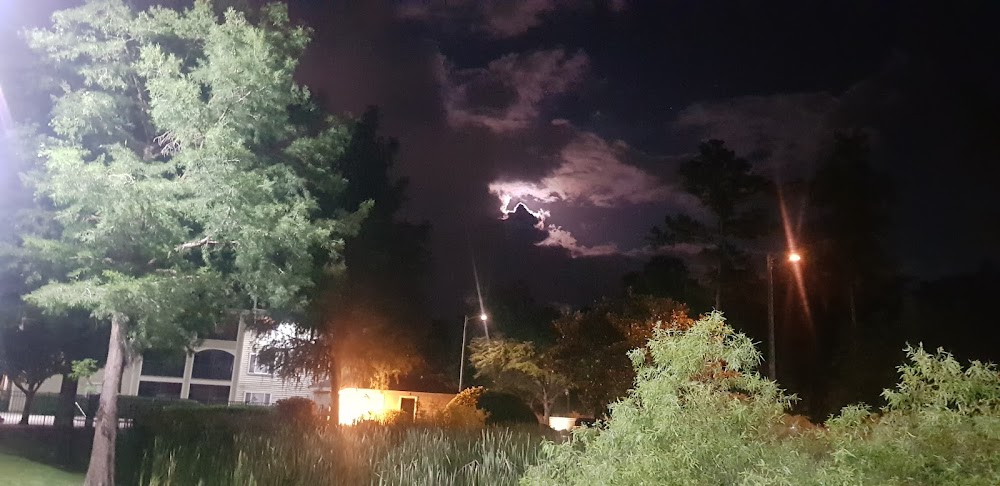 Imagen de la galería 9
