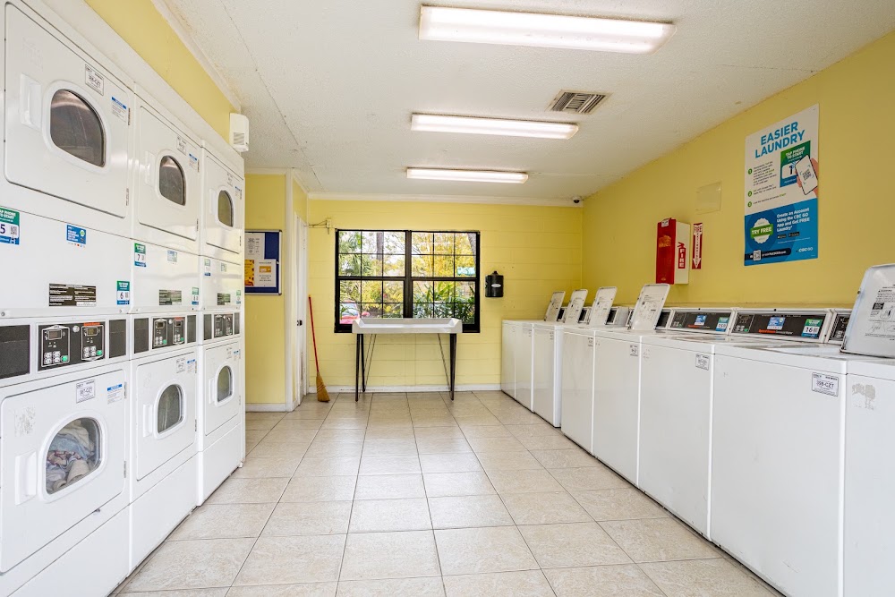 Imagen de la galería 8
