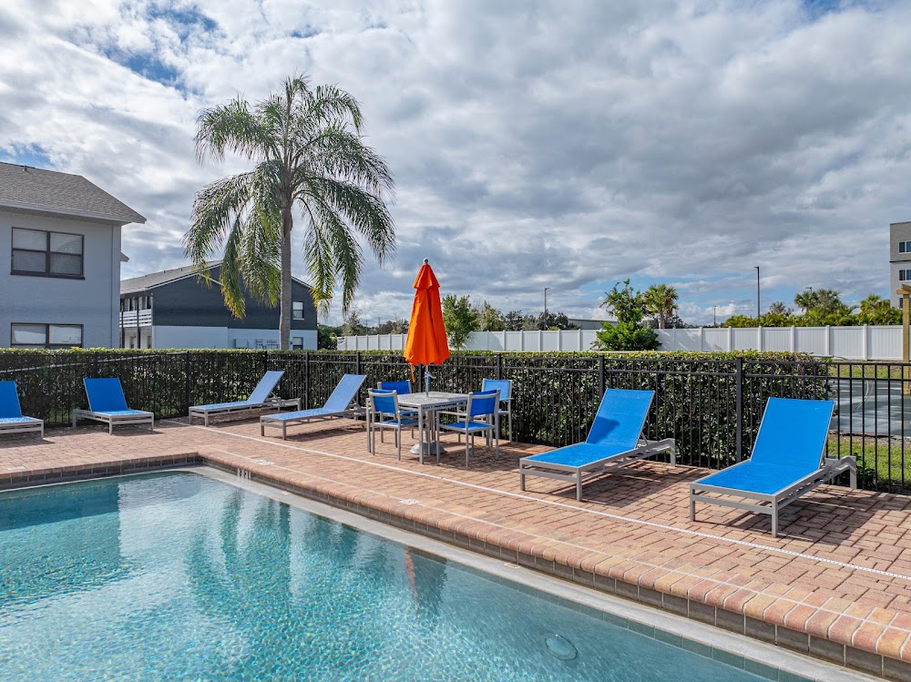 Imagen de la galería 2