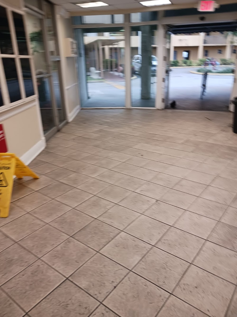 Imagen de la galería 2