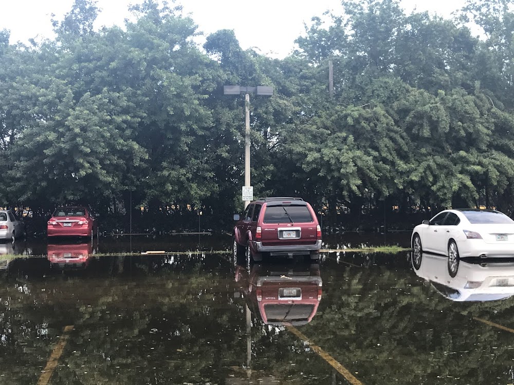 Imagen de la galería 1