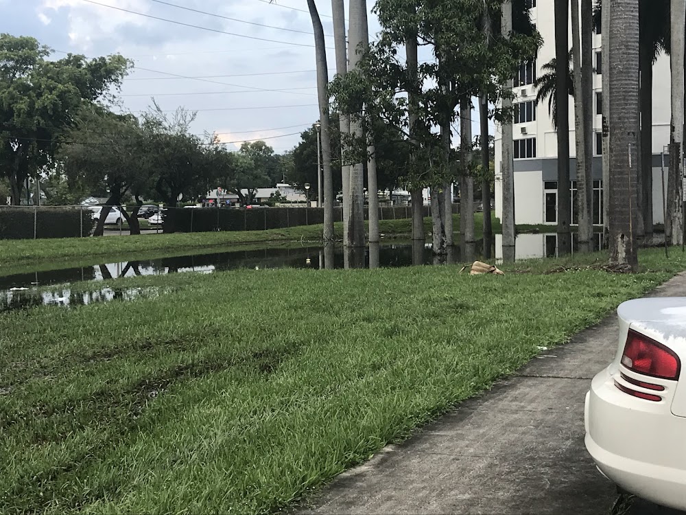Imagen de la galería 6