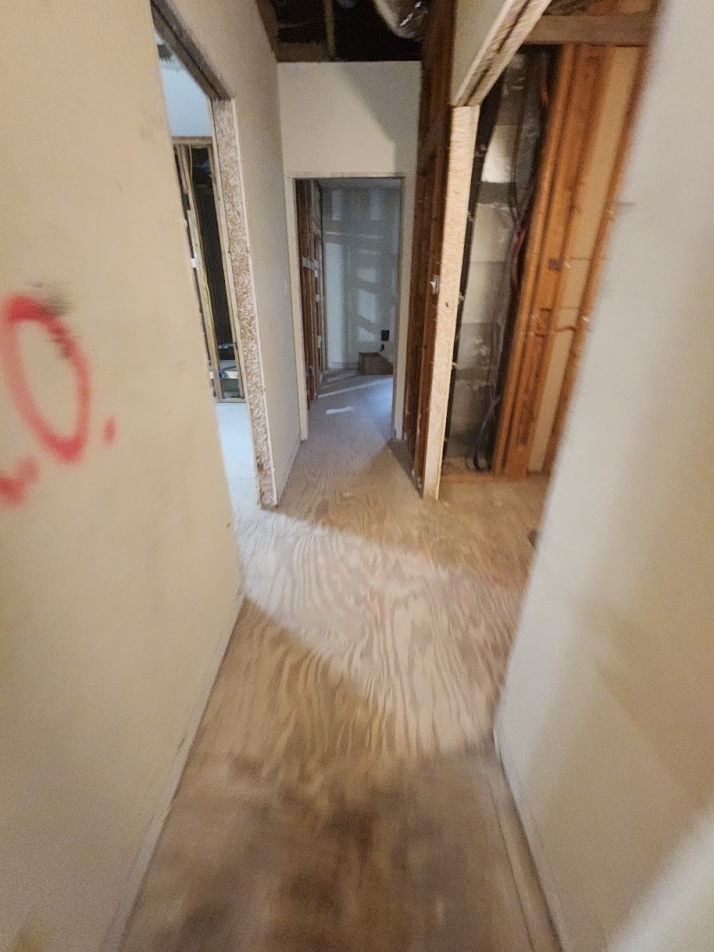 Imagen de la galería 9