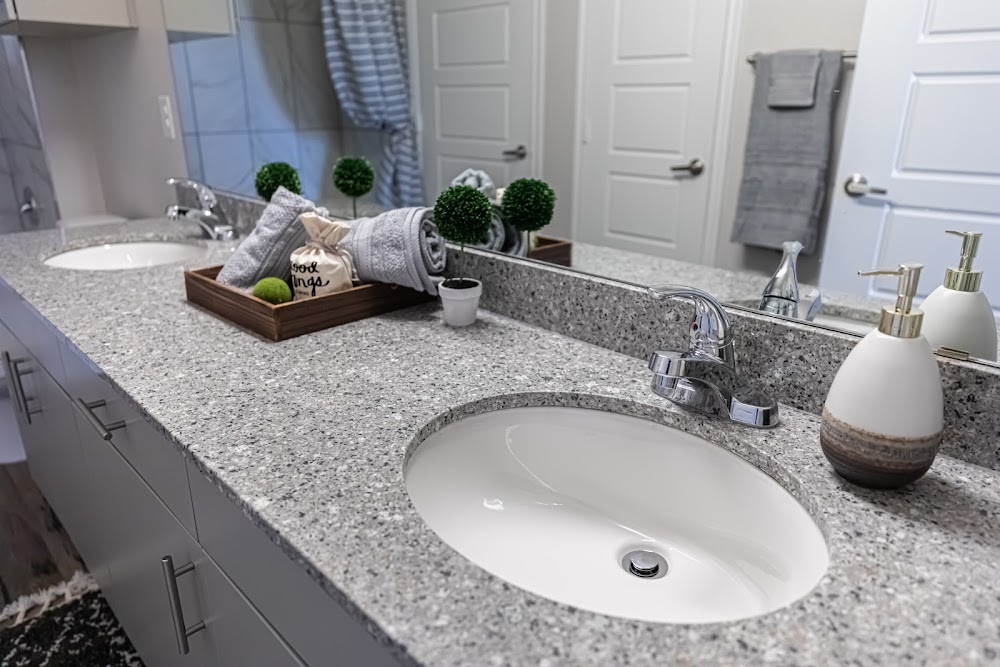 Imagen de la galería 7