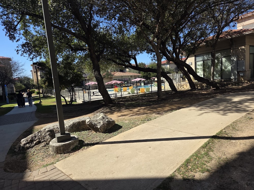 Imagen de la galería 9