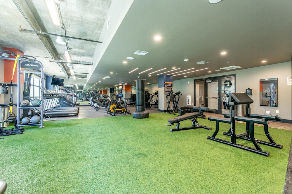 Imagen de la galería 8