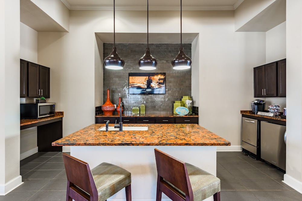 Imagen de la galería 7