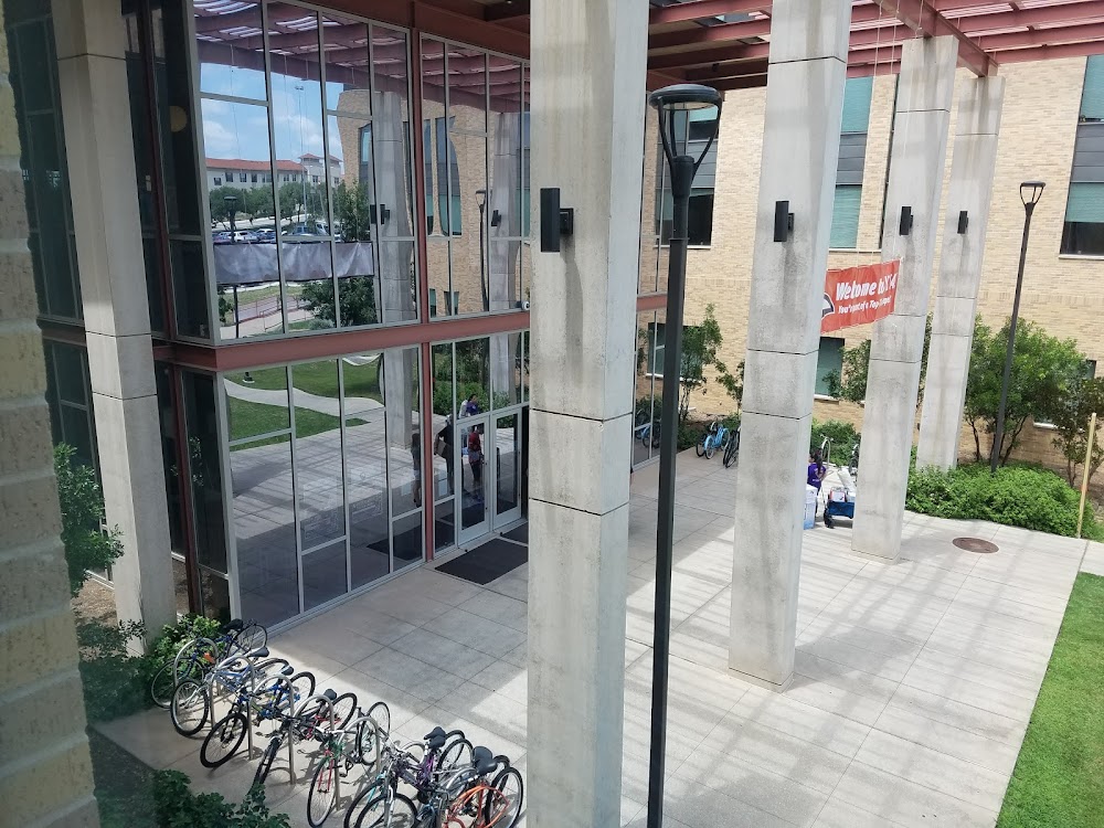 Imagen de la galería 5