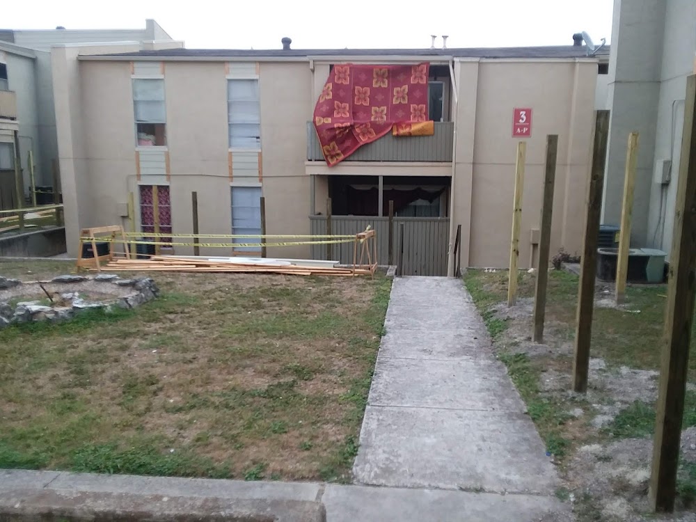 Imagen de la galería 4