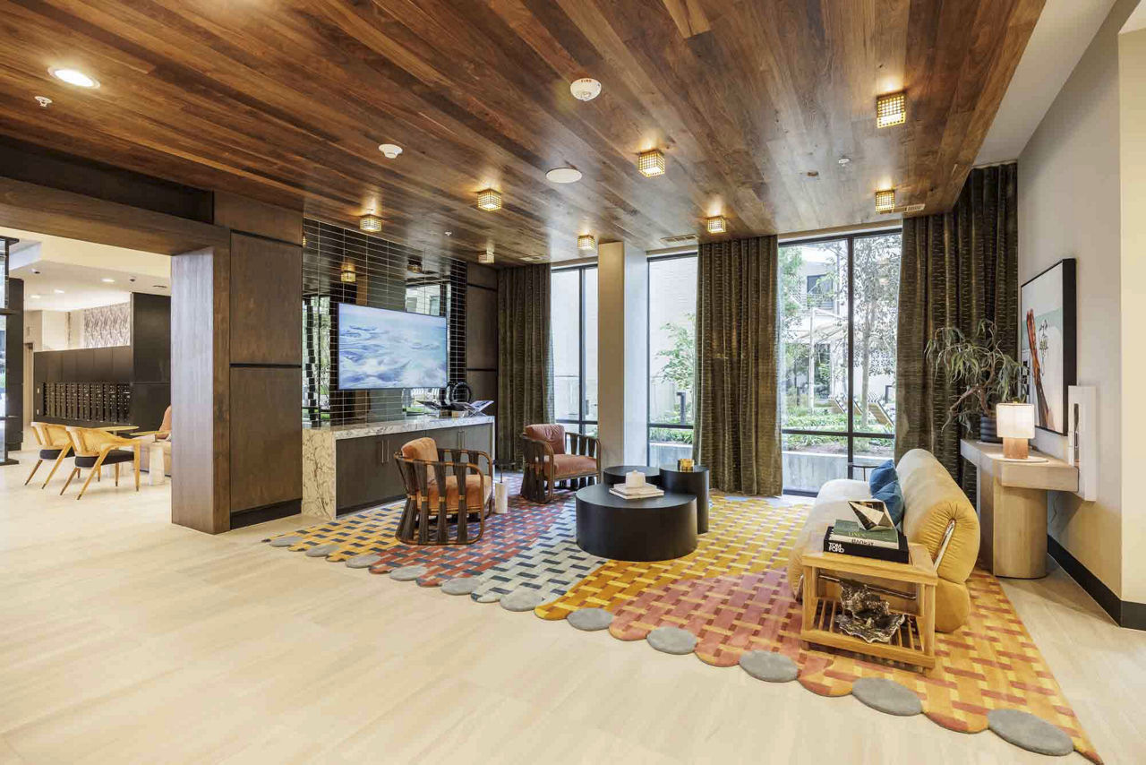 Imagen de la galería 5