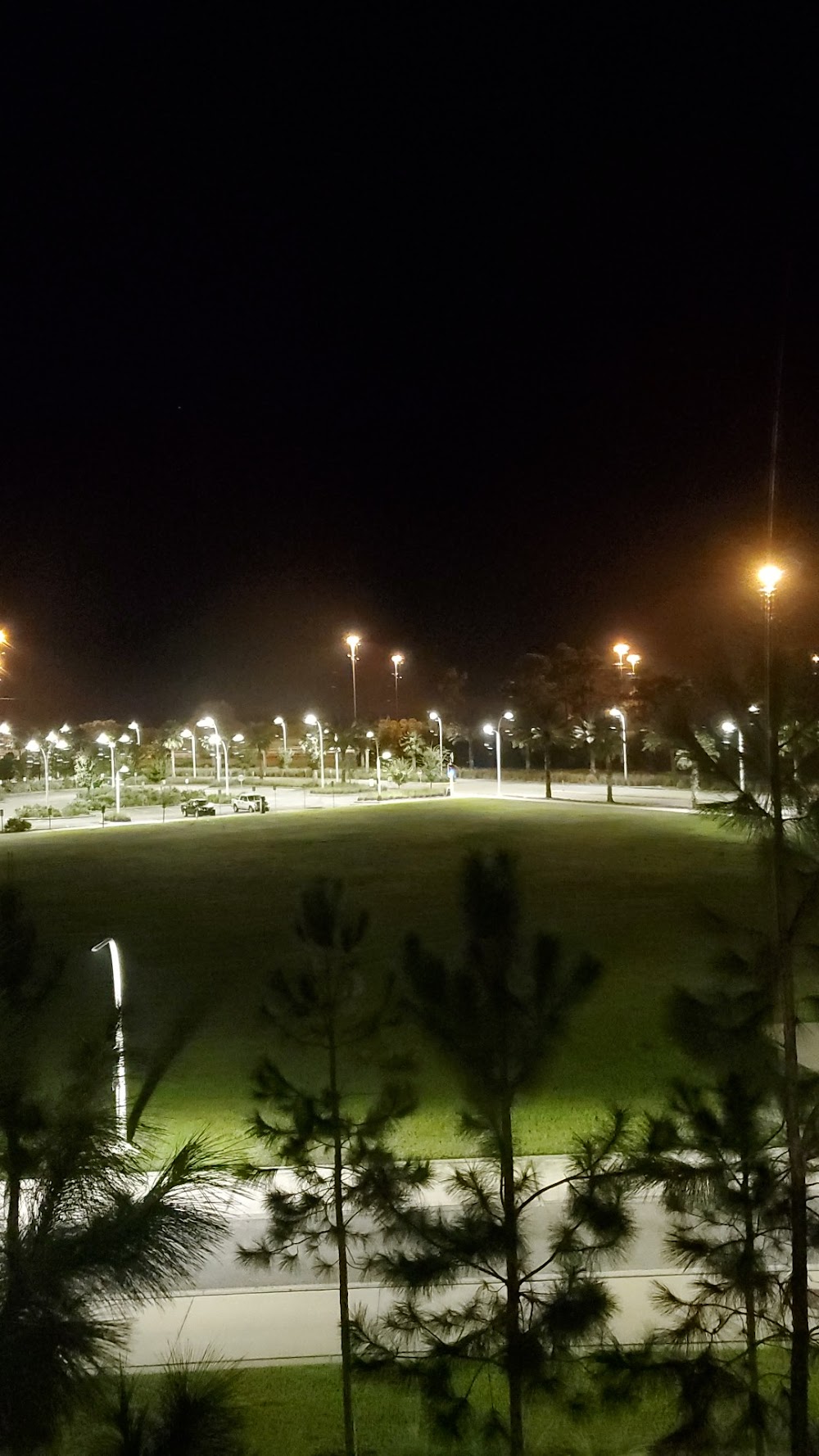 Imagen de la galería 2