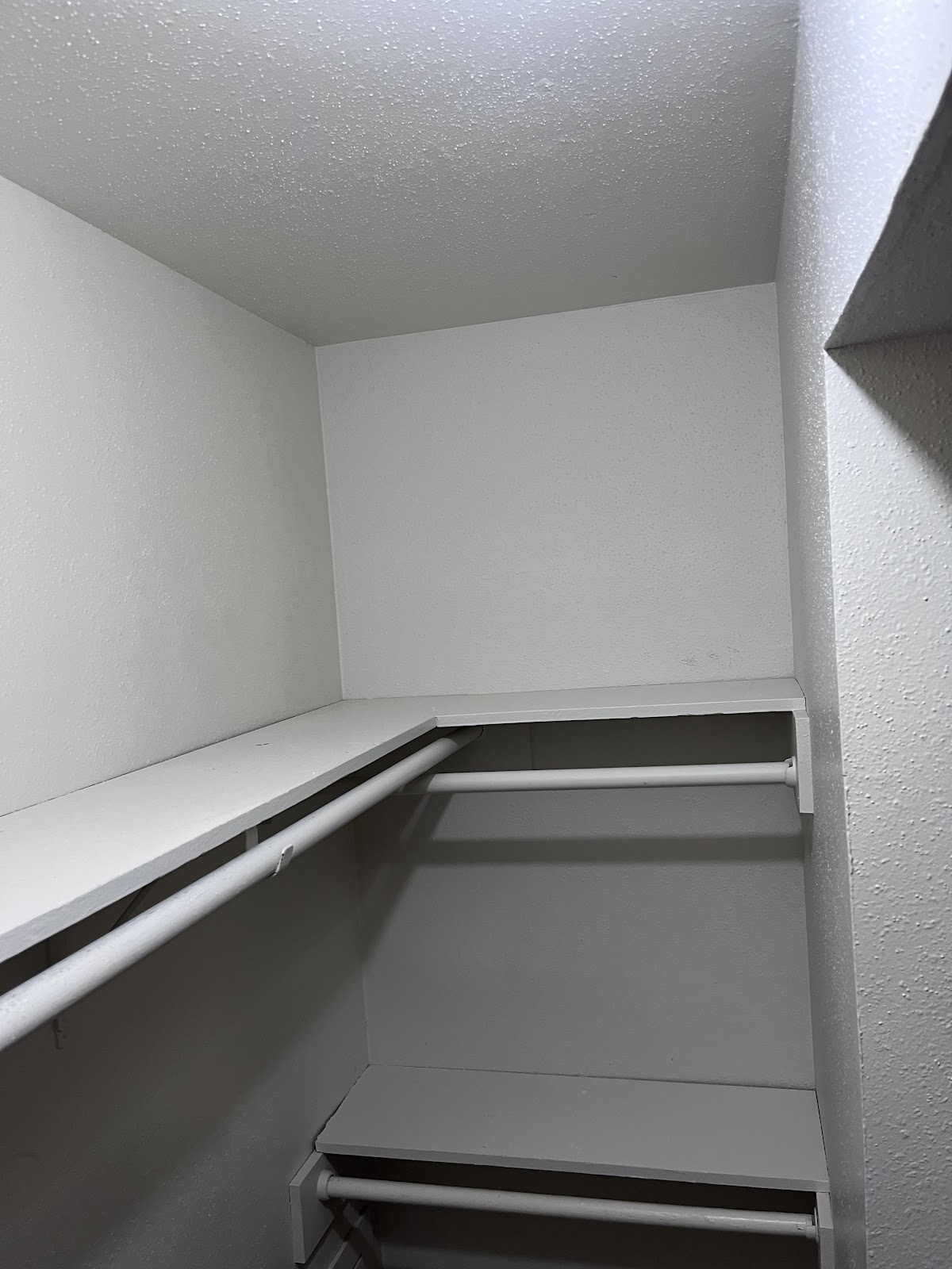 Imagen de la galería 3