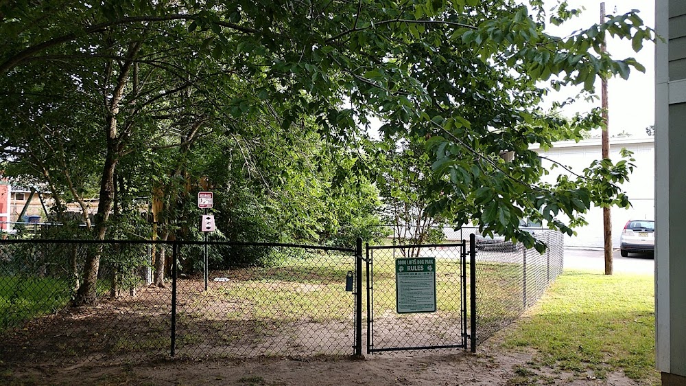 Imagen de la galería 2