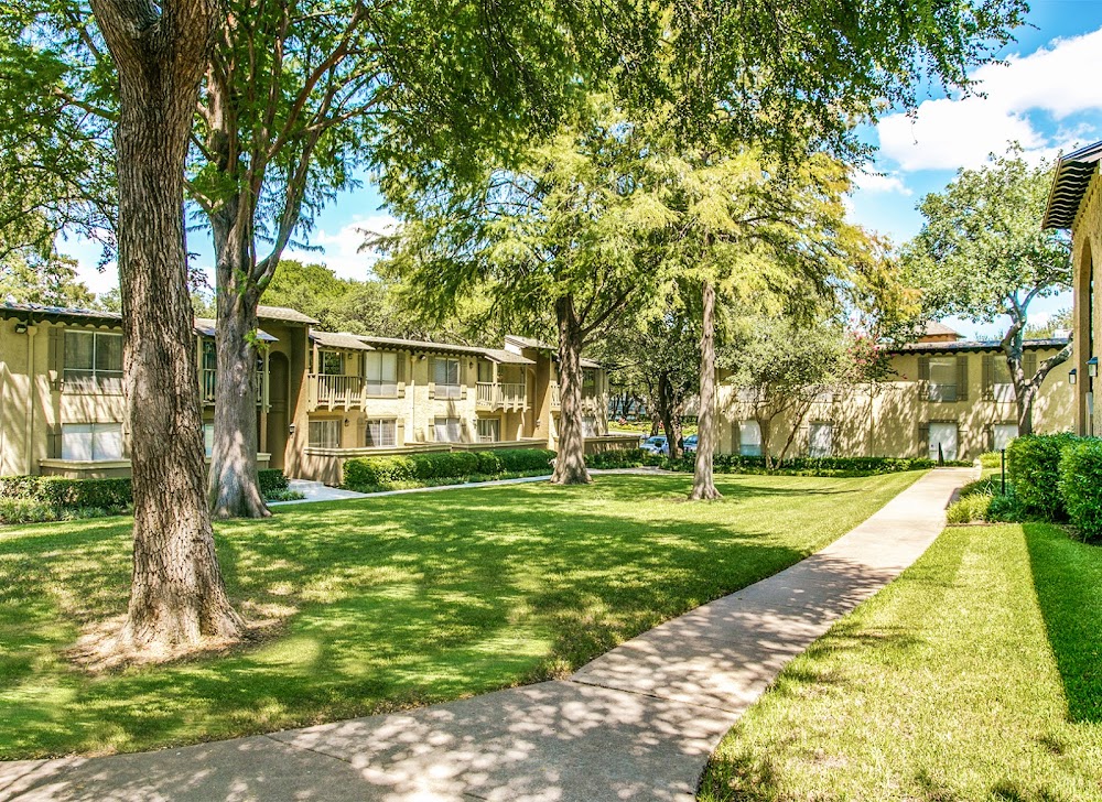 Imagen de la galería 3