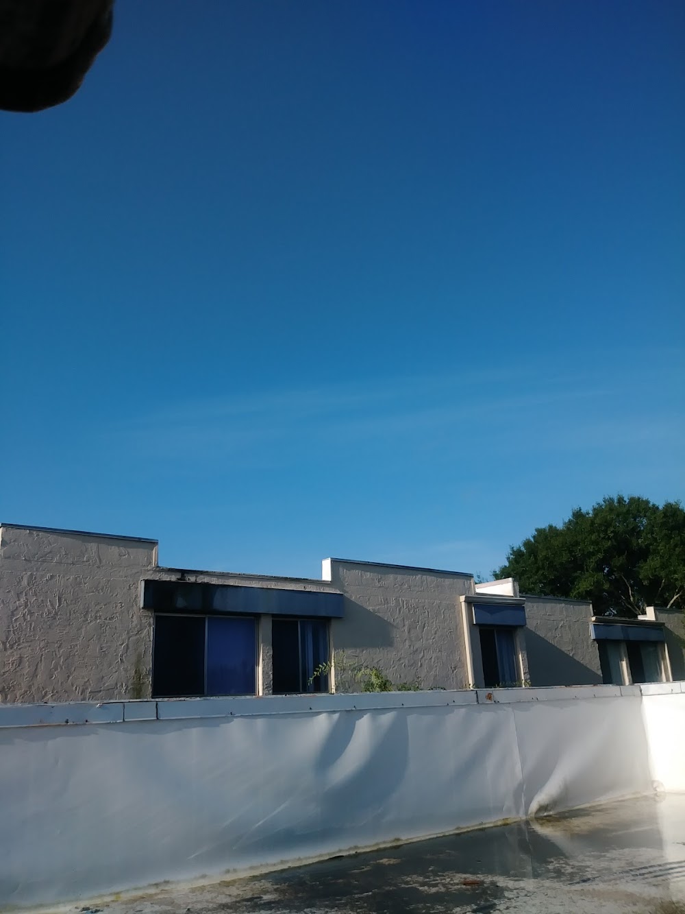 Imagen de la galería 2