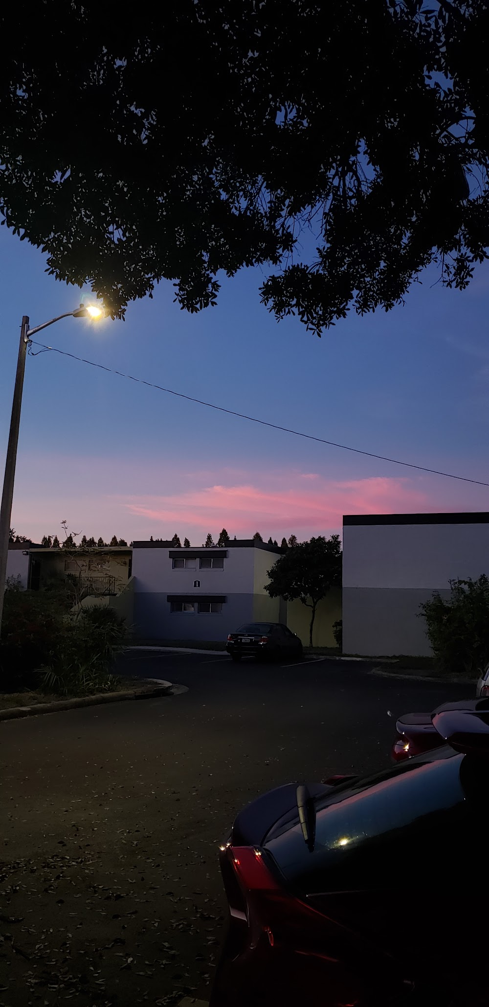 Imagen de la galería 8