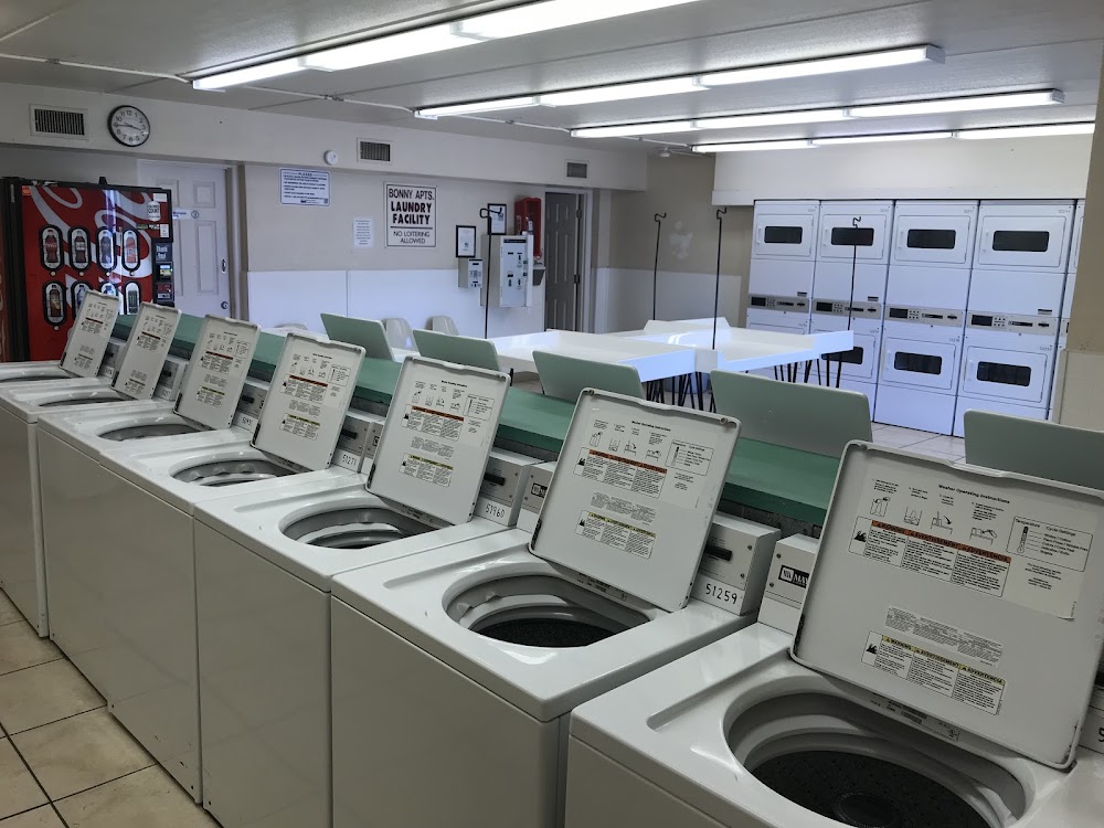 Imagen de la galería 9