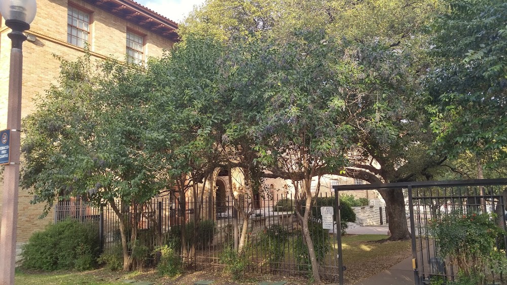 Imagen de la galería 6