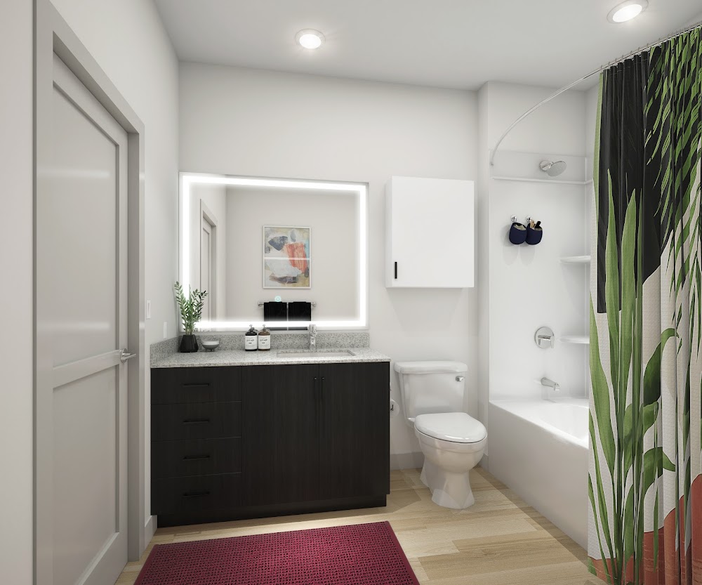 Imagen de la galería 6