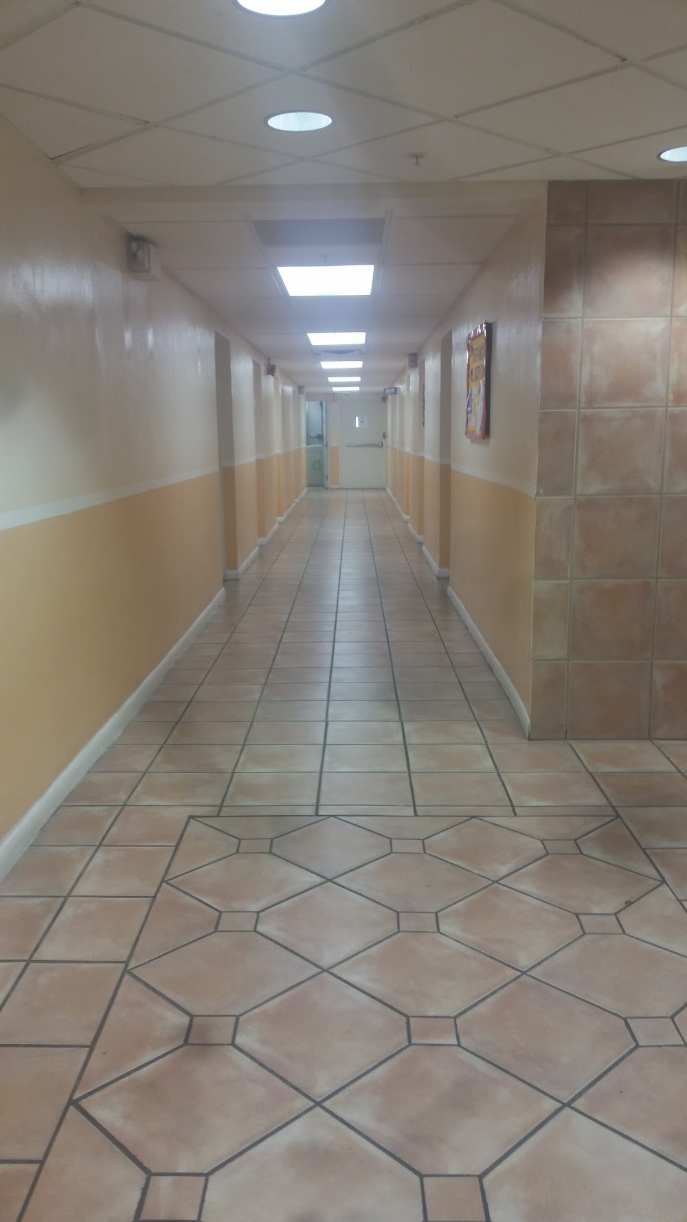 Imagen de la galerĂa 5