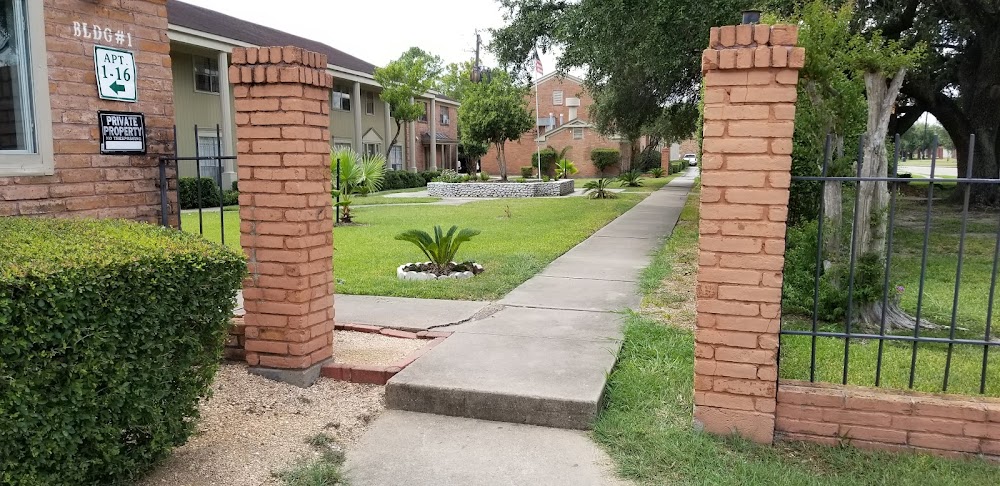 Imagen de la galería 4