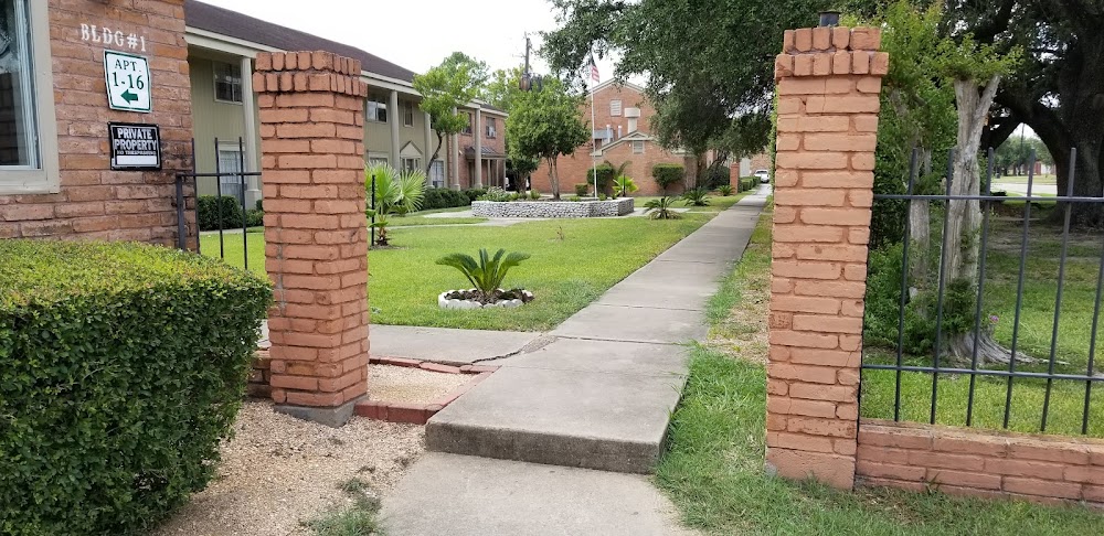 Imagen de la galería 4